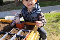 IMG_20260313_103357_1