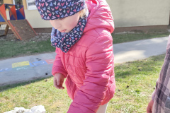 IMG_20260313_103756_1