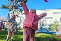 IMG_20251104_102525