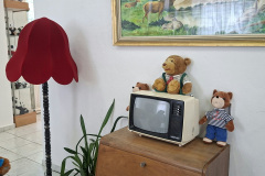 foto-9