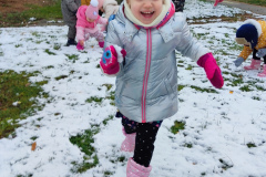 IMG_20251124_103423_1