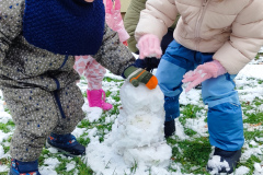 IMG_20251124_103751