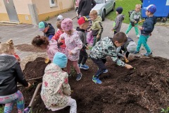 IMG_20230511_102503