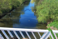 IMG_20250416_094319