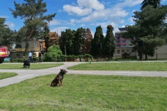 IMG_20230510_103005